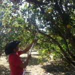 FOTO PARA NOTA BAYER