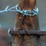 FOTO-M1SOS-VIRUS-ZIKA