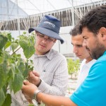 M1SOS-BAYER-AGRiCOLA